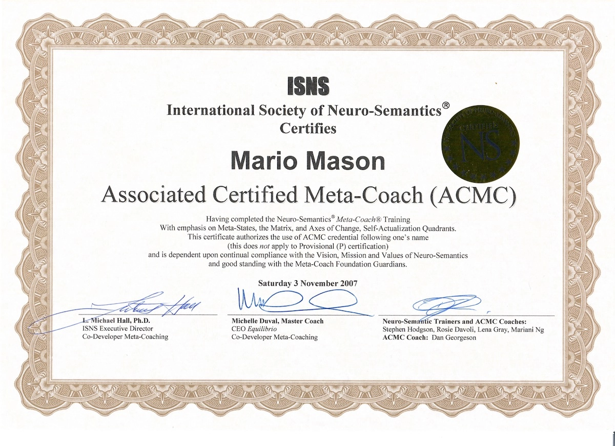 Meta-Coaching USA