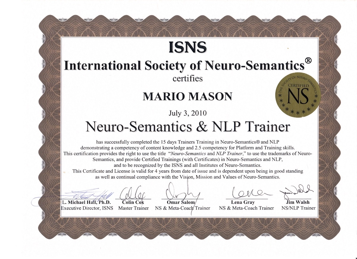 Neuro-Semantics Trainer USA